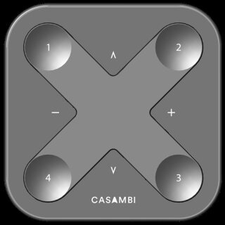 CASAMBI Xpress black